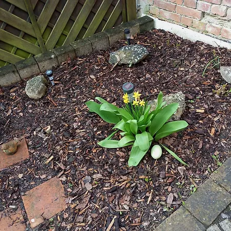 Appartement Gaesteoase Einfach Wohl Fuehlen